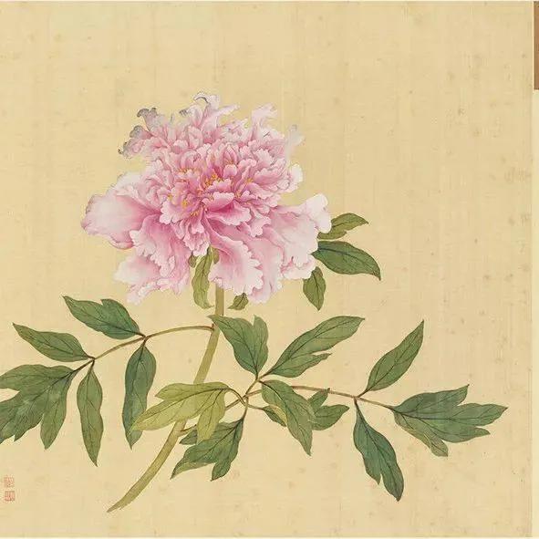 蒋廷锡牡丹画法,蒋廷锡百种牡丹画法