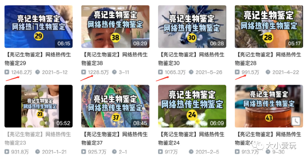 从科普到各学科，我们为孩子集齐了B站最强学习资源！记得收藏