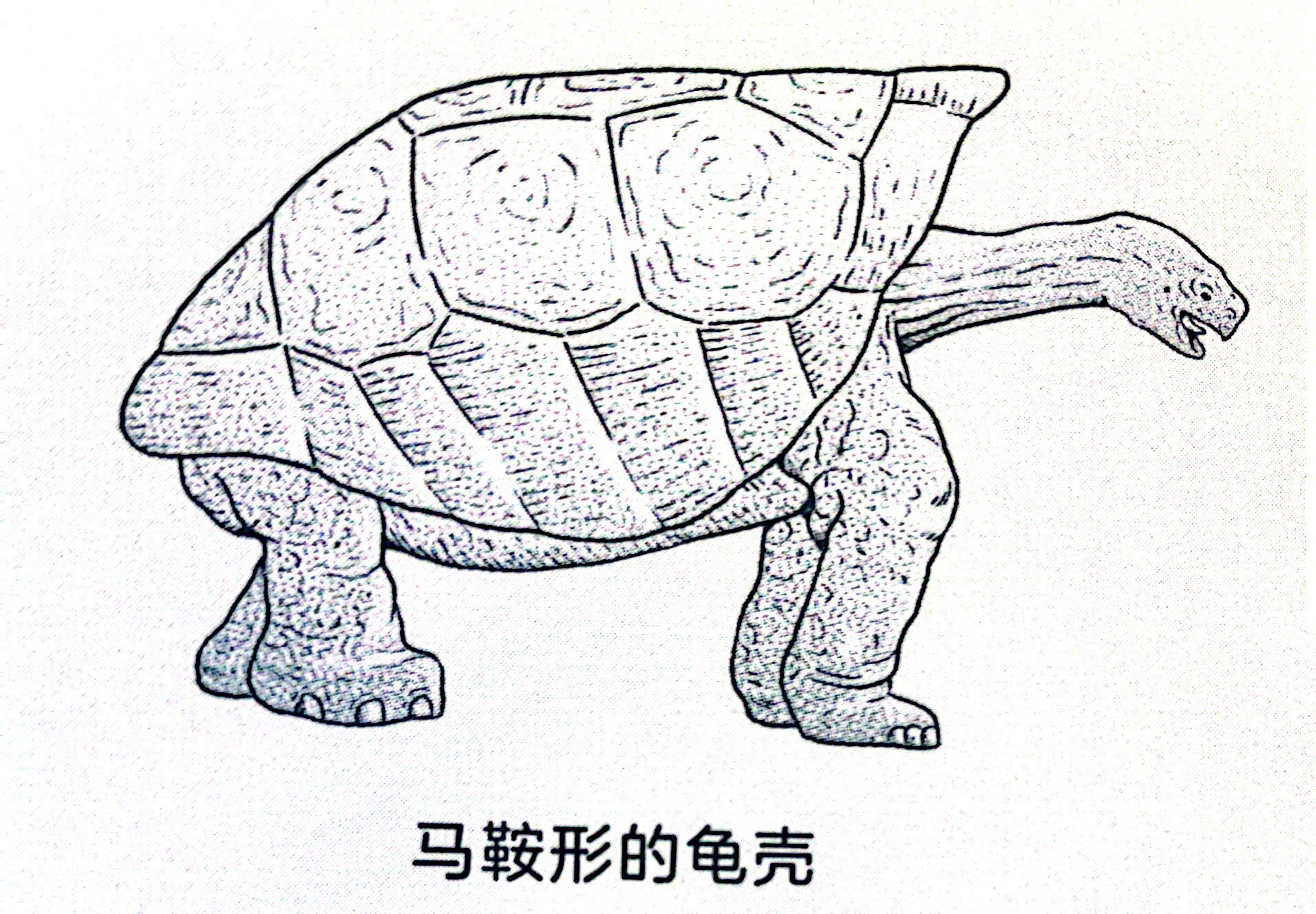 如何启发孩子观察大自然,培养孩子自然观察