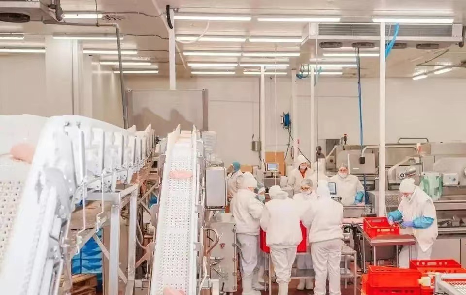 未来十年最有前途的行业有哪些,未来十年内最有前景的行业是哪些