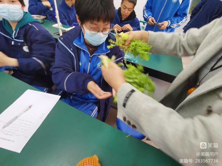 英语制作蔬菜沙拉过程,制作水果沙拉英语公开课