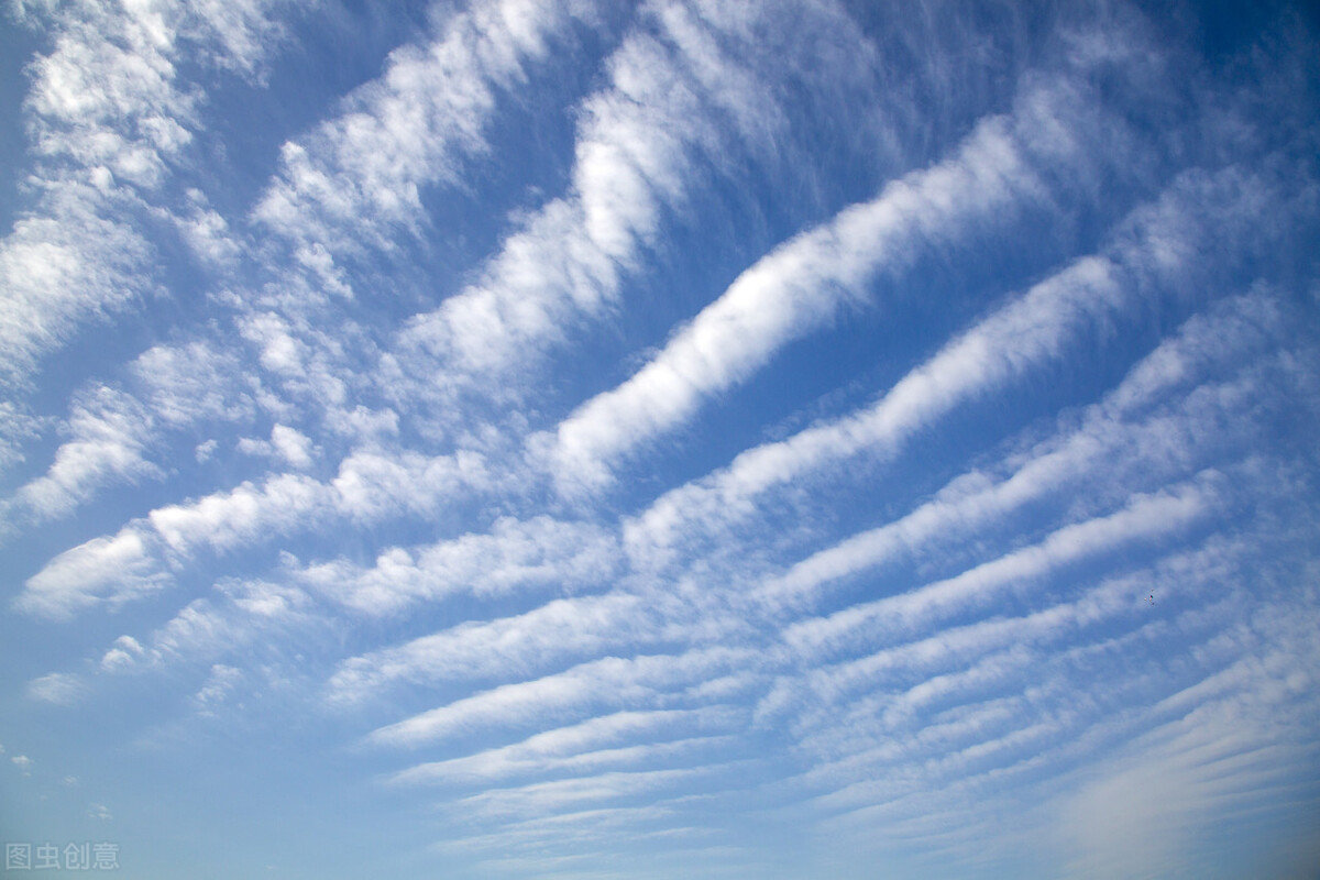 动物异常的行为预兆地震,地震动物的异常现象视频