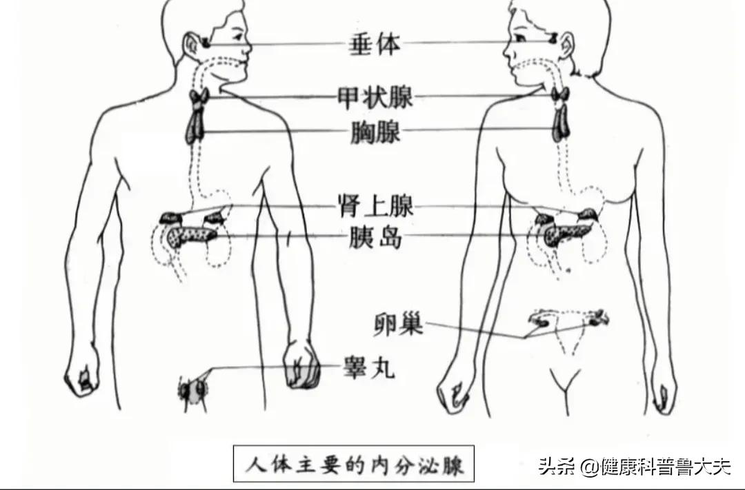 遭罪的干燥综合征，不妨试一试灸法，说不定柳暗花明又一村