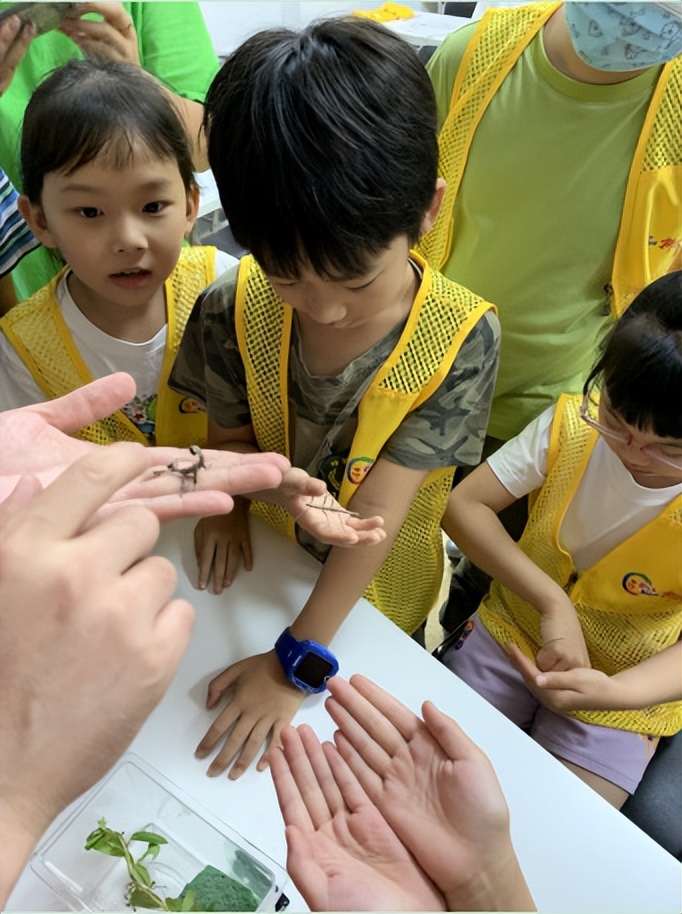 在上海科技馆探索神奇科技世界,昆虫知识公益科普活动