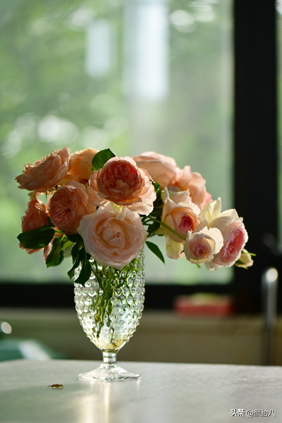 流放到菜地的花儿们，尽情绽放吧，不管在哪里｜园丁