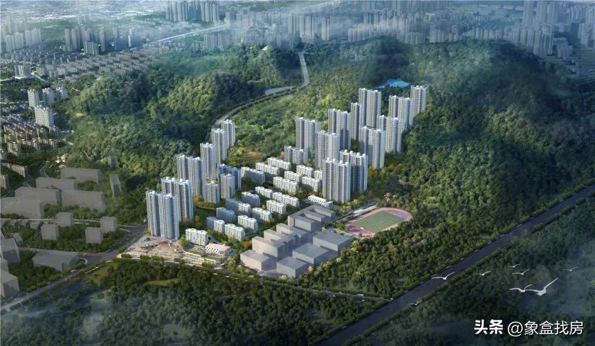 雨花买房最新消息,雨花区首付13万