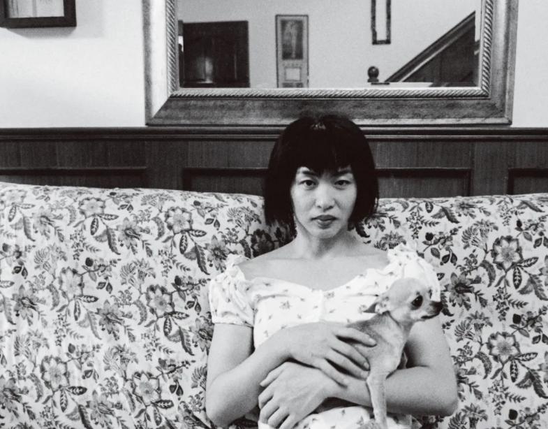 艺术家金星,中国当代艺术家金星