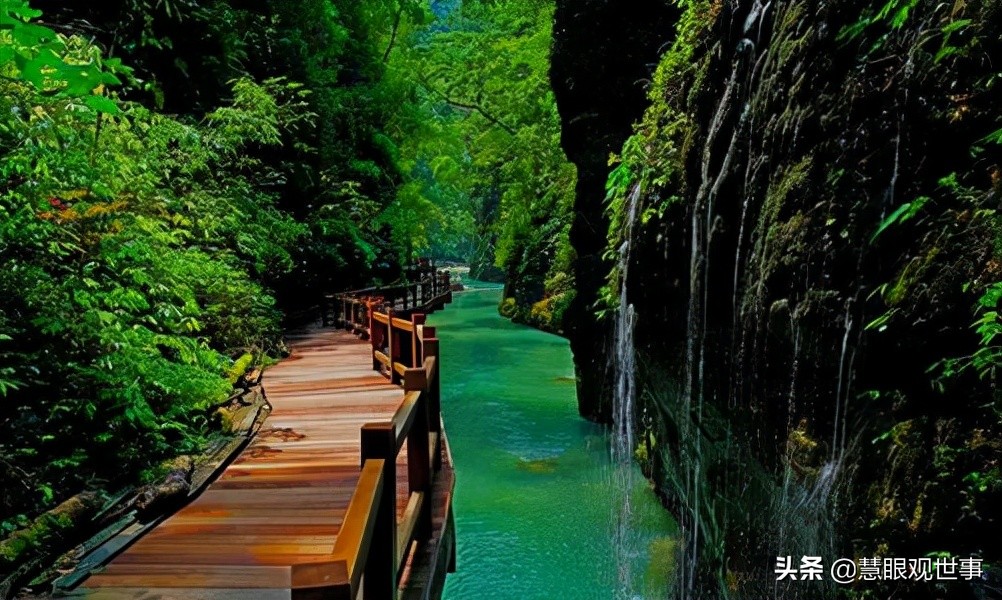 侯海洋基层风云全文免费阅读,侯海洋基层风云完整版免费听