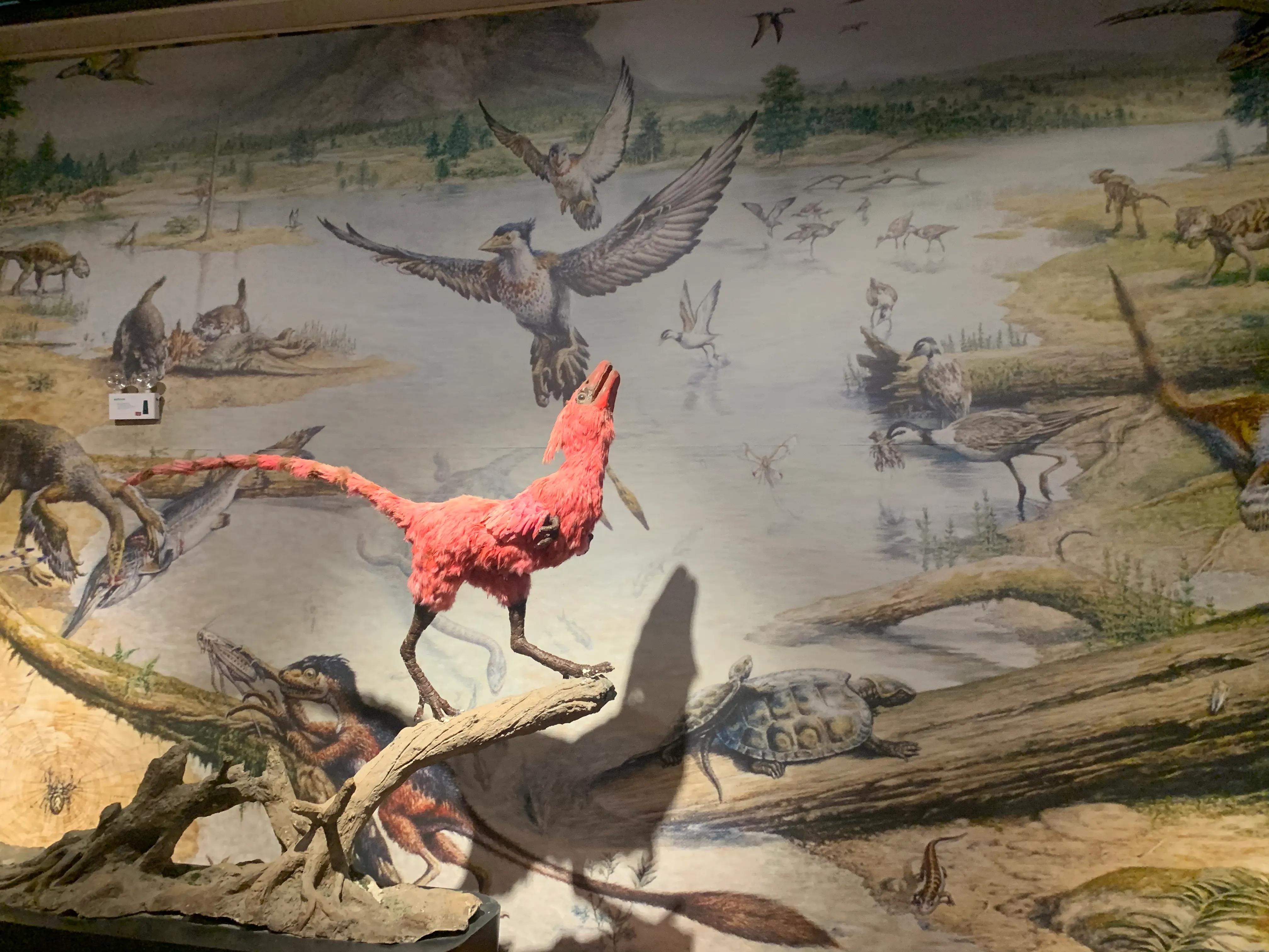 辽西自驾游一日游攻略,辽西自驾游一日游