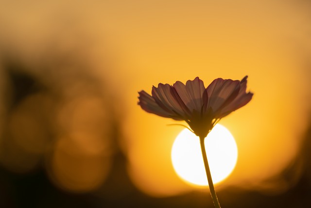 励志正能量句子大全,励志正能量句子经典语录