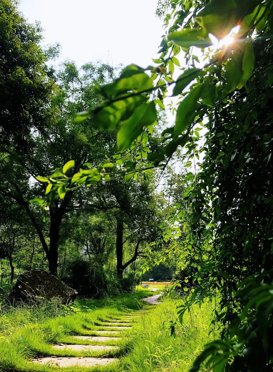 幸福成都美丽家园,幸福成都成就梦想