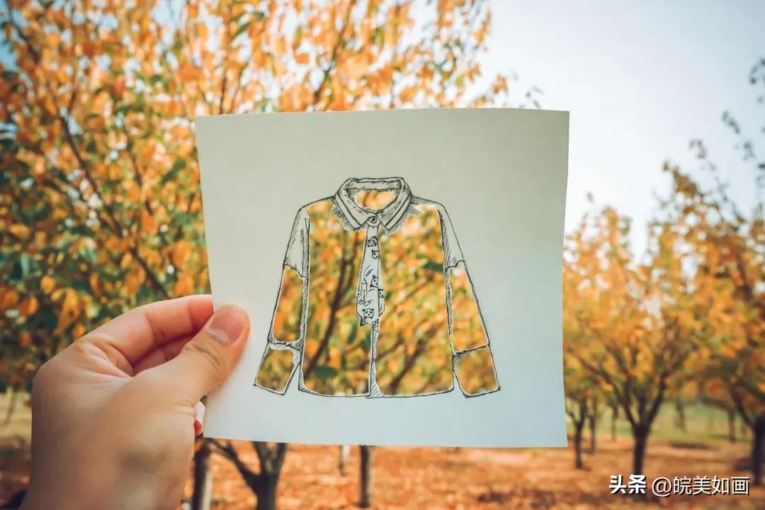 安徽大学好看的风景,高校最美秋景