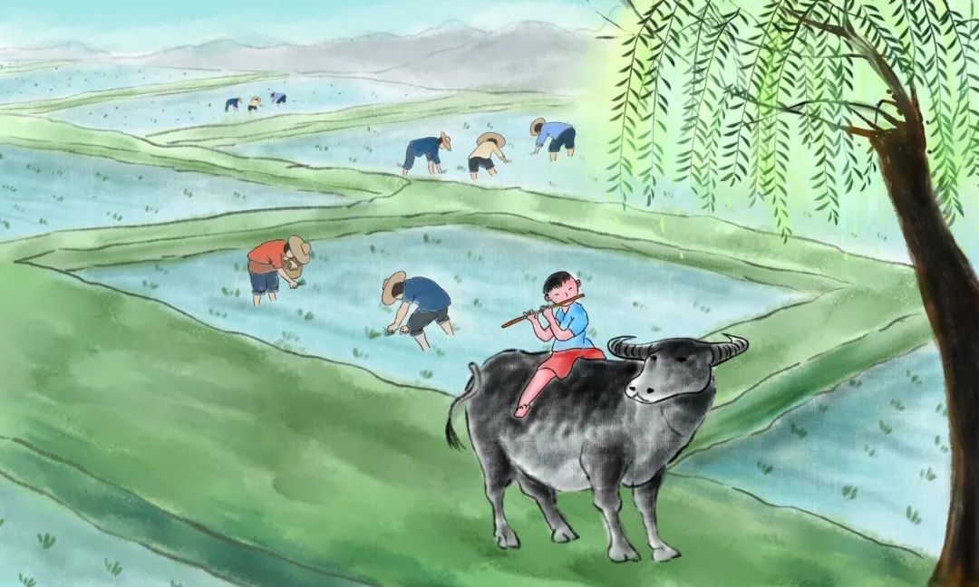 最佳谷雨诗词,天和日朗雨润风清什么意思