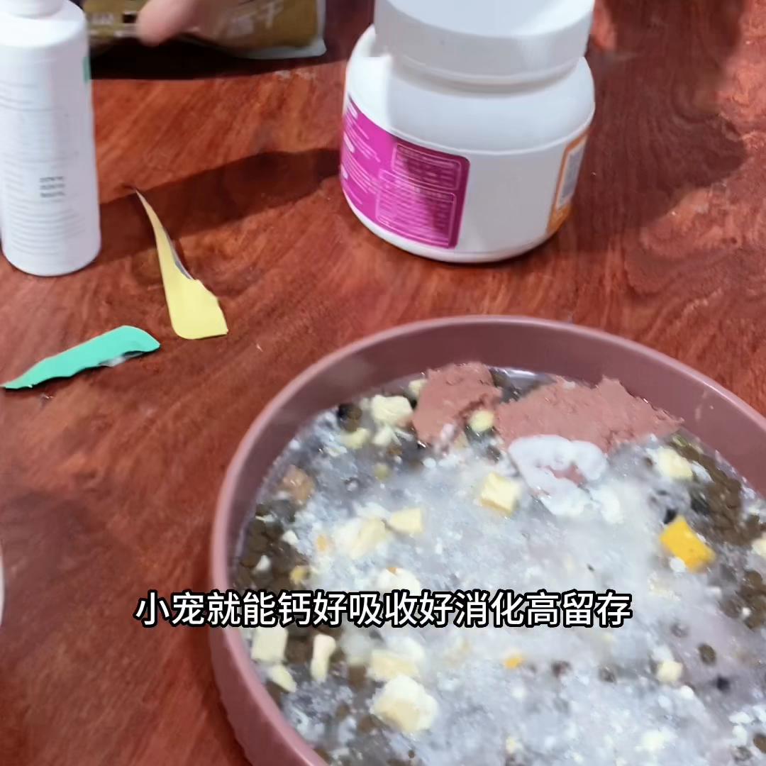 拉布拉多幼犬喂养的最佳方法,拉布拉多幼犬新手怎么喂
