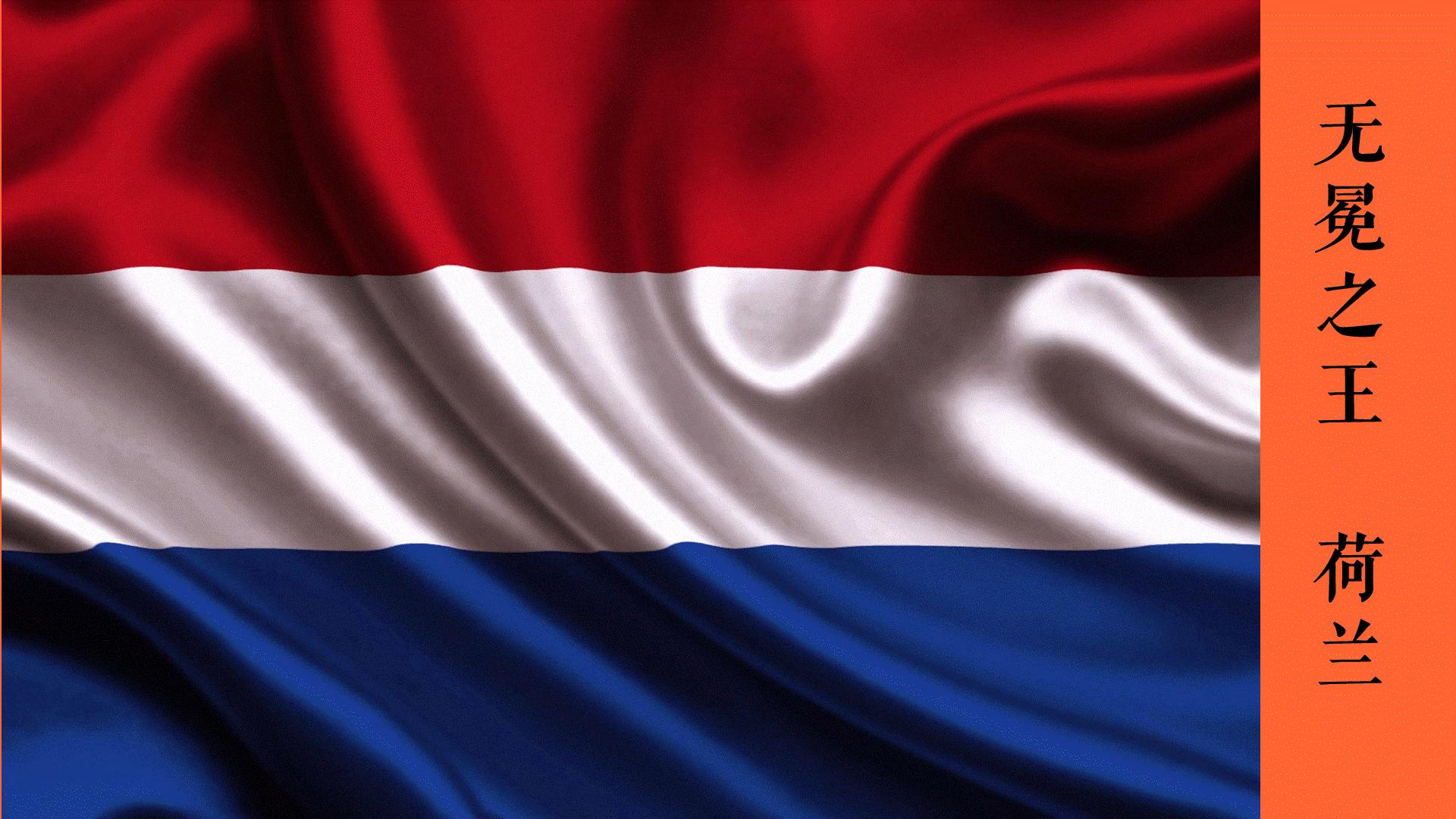 卡塔尔世界杯荷兰,卡塔尔世界杯观赛指南书籍