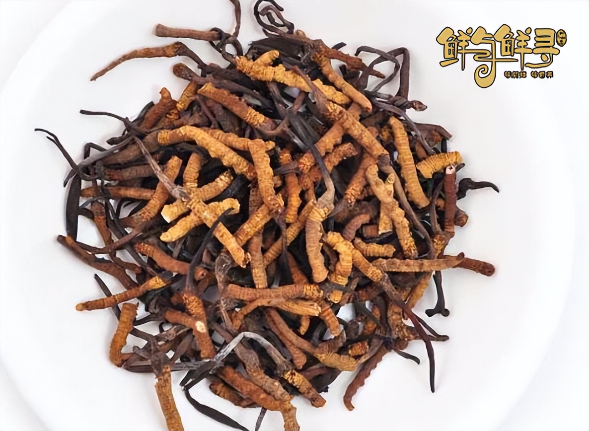 如何判断冬虫夏草是否过期,冬虫夏草的粉末过期还能吃吗