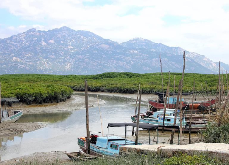 福建造假烟村,福建制造假烟的地方是哪里