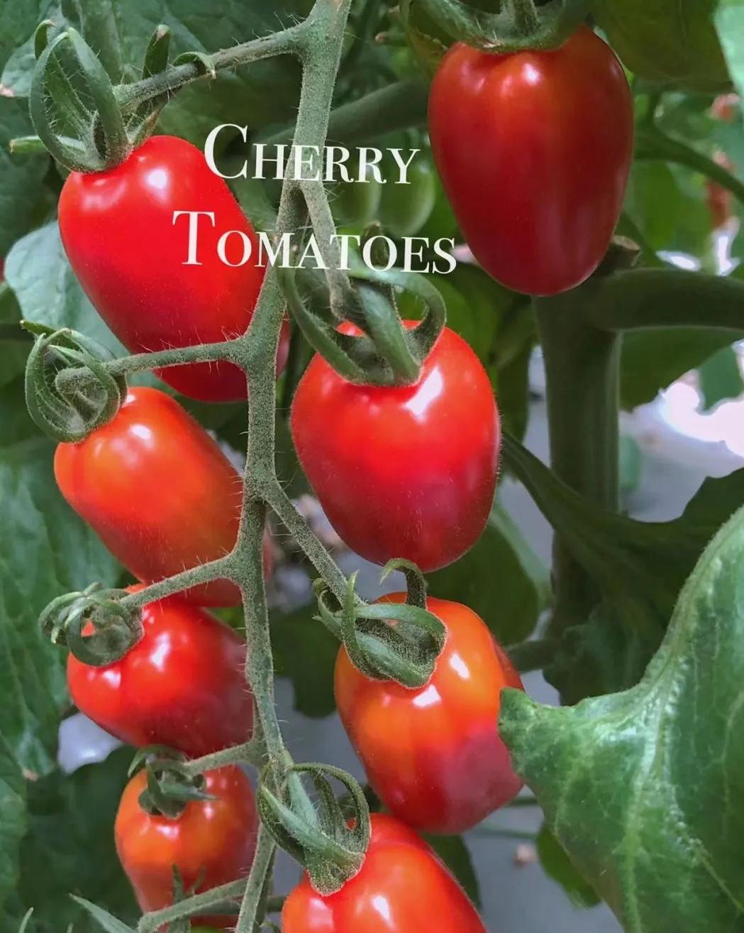 六一童真之旅,欢乐过六一儿童创意作品