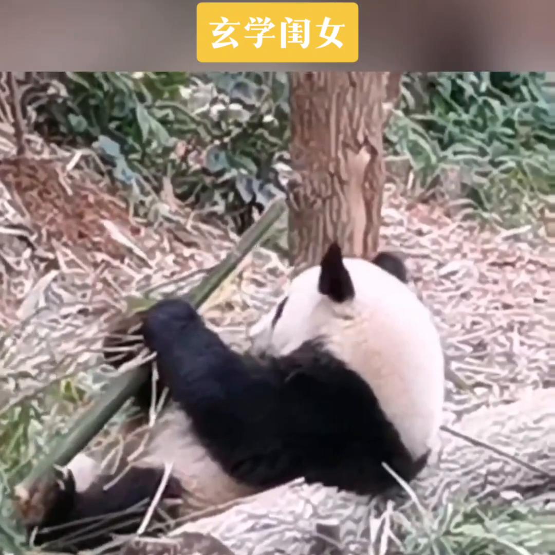 小说推文深入交流,草莓尖尖小说推文