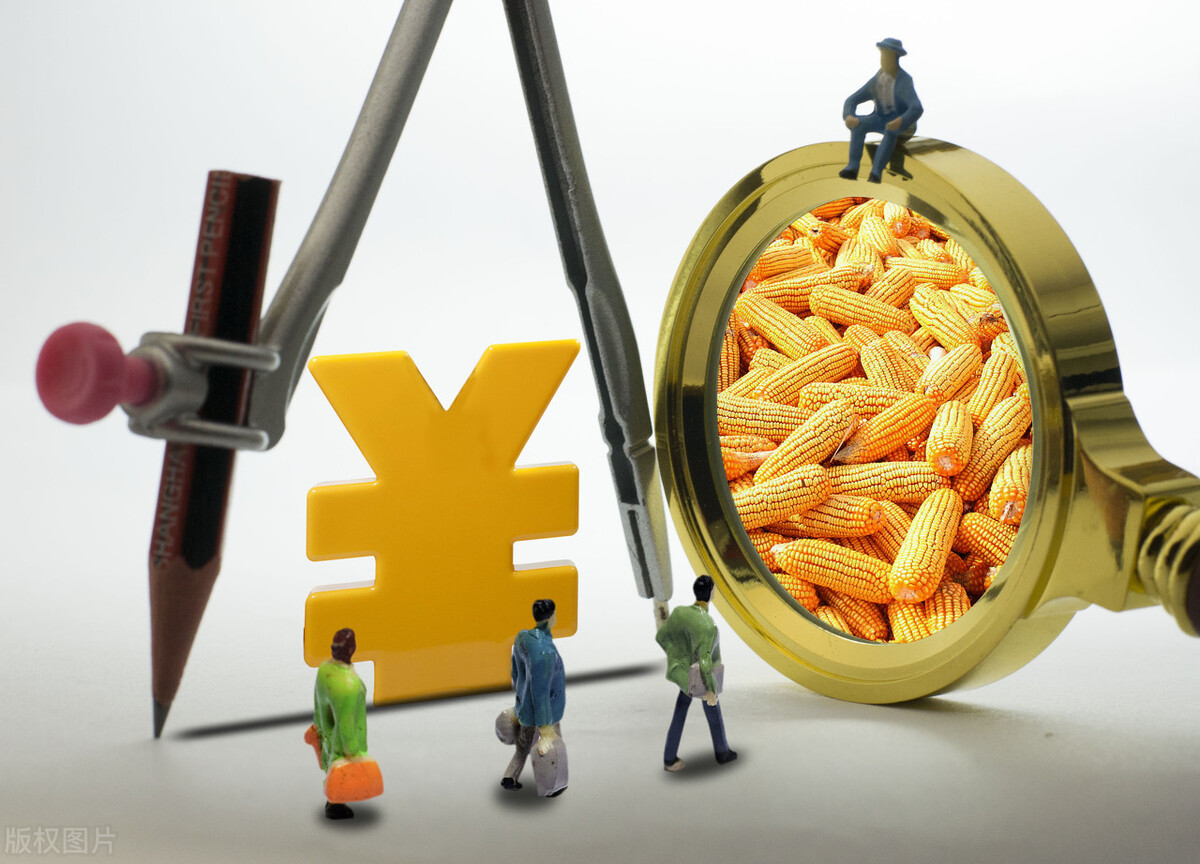 怎样正确认识期货期权,如何正确认识股票市场