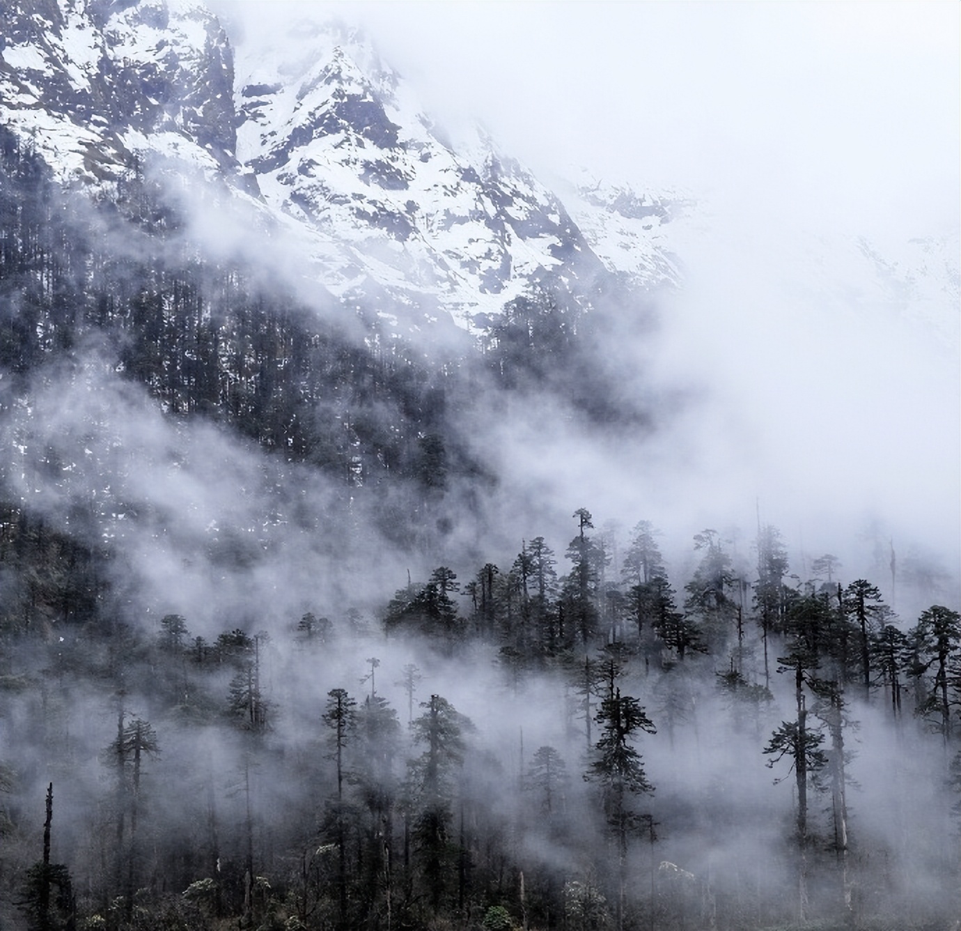 婆媳关系从来都不是尊老爱幼,婆媳之间关系不好正常吗