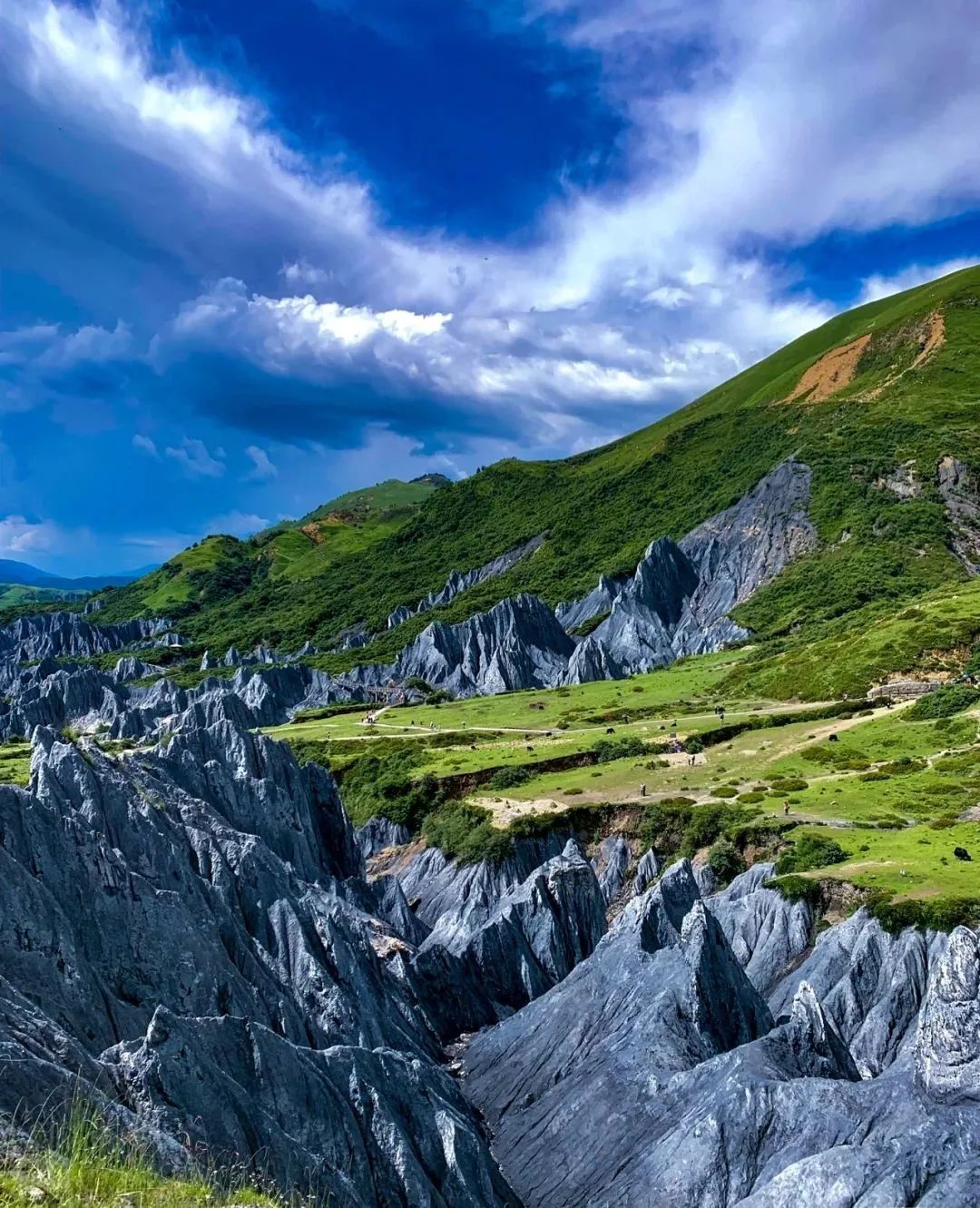 甘孜文旅局长化身侠客火出圈,火出圈啦