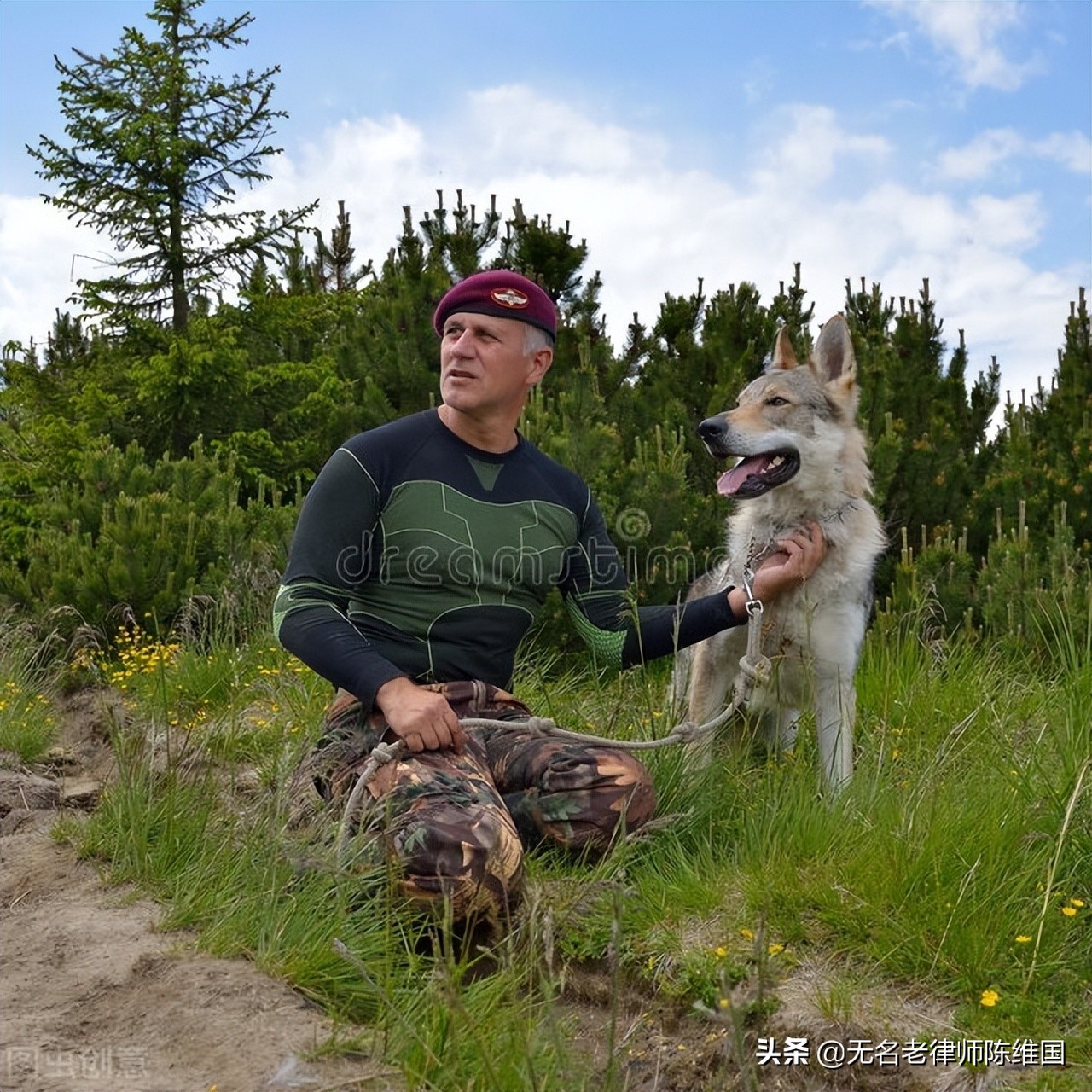 偷狗被咬死主人需要负责任吗,被狗咬死狗主人要担责吗