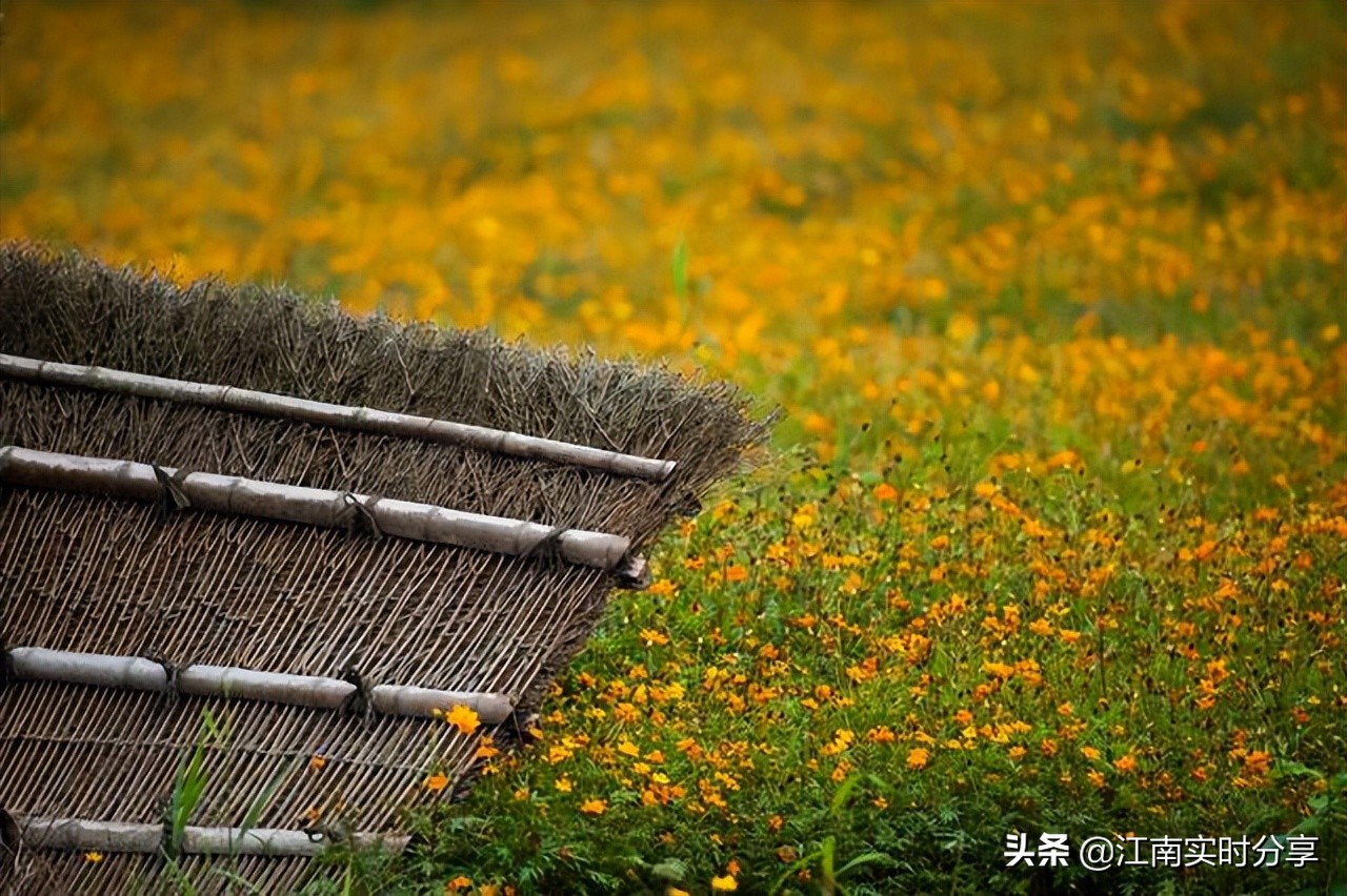 宫崎骏的绝美风景,治愈系宫崎骏夏日风景