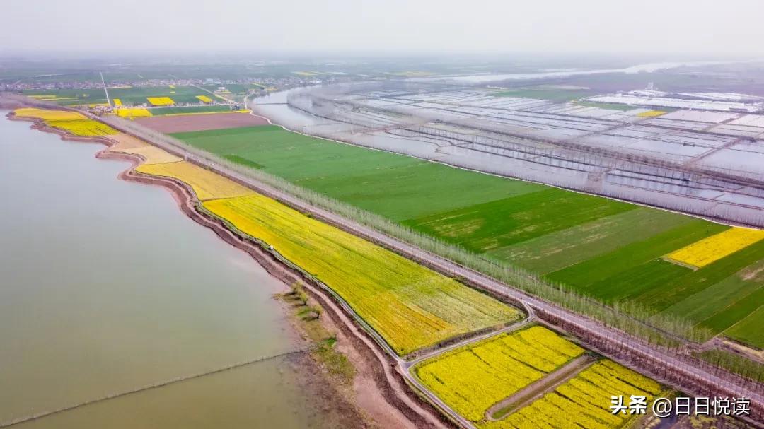 湖北荆州：石首“繁花”上大分↑即将刷爆朋友圈！