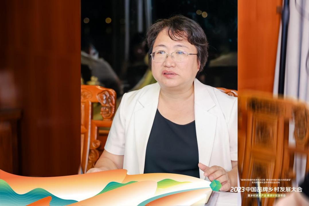 乡村振兴大咖说观点汇总,乡村振兴方面的领导讲话