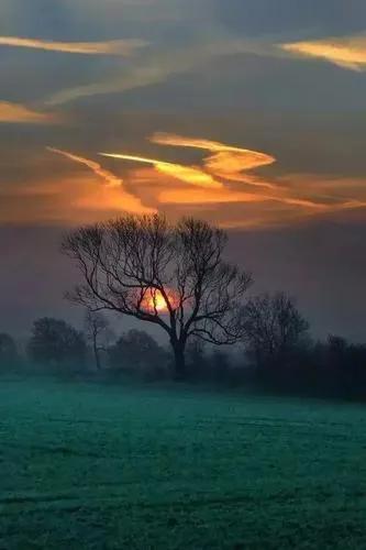 散文人到中年才明白活着有多不易,中年人生活感悟美文摘抄