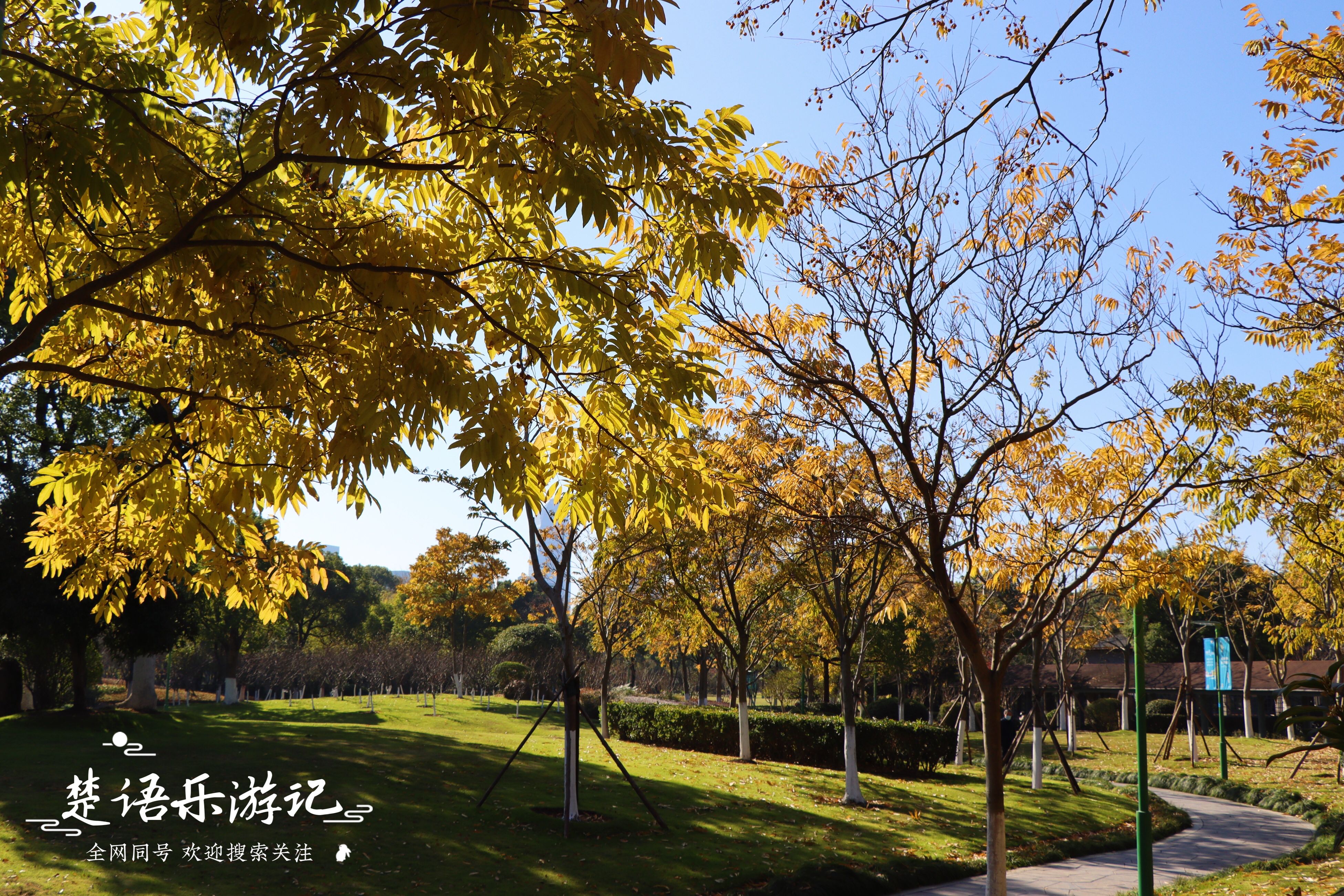 宁波地铁旅游攻略必去景点,宁波地铁直达的旅游景点