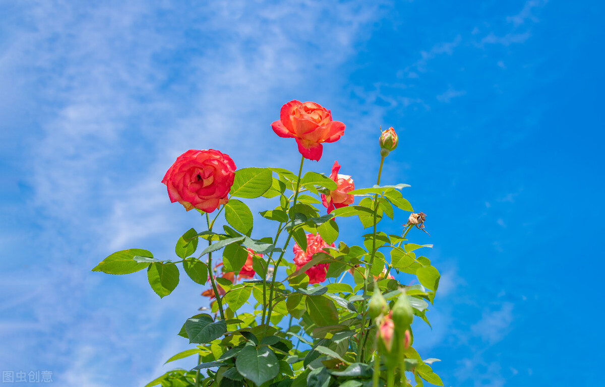 让自己开心的100种方法视频,六种让自己瞬间开心的方法