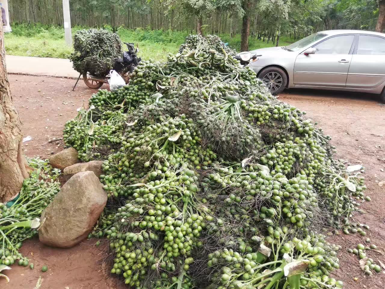 越南工作的真实生活,越南红木市场的忙碌生活