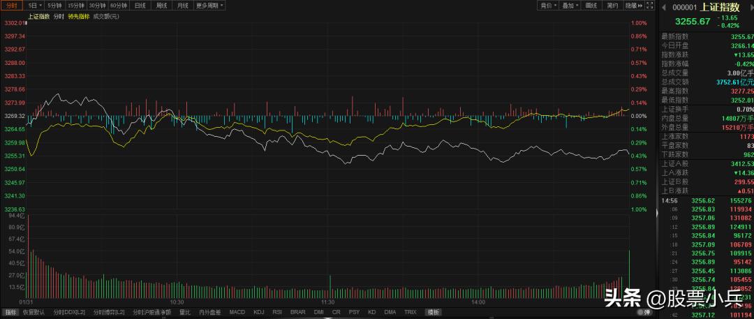 怎么判断大盘走高和大盘震荡,今天大盘触底反弹走势能走多远