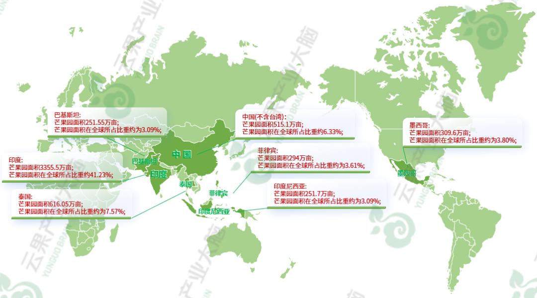 国内芒果产业发展现状,中国各省芒果主产区上市时间