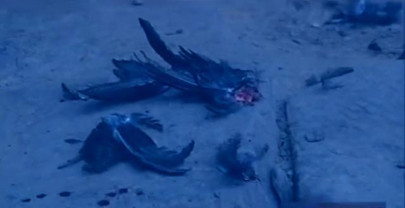 湖南嗜血野人：7岁掉入天坑，生吃蛇鼠存活8年，结局让人哭笑不得