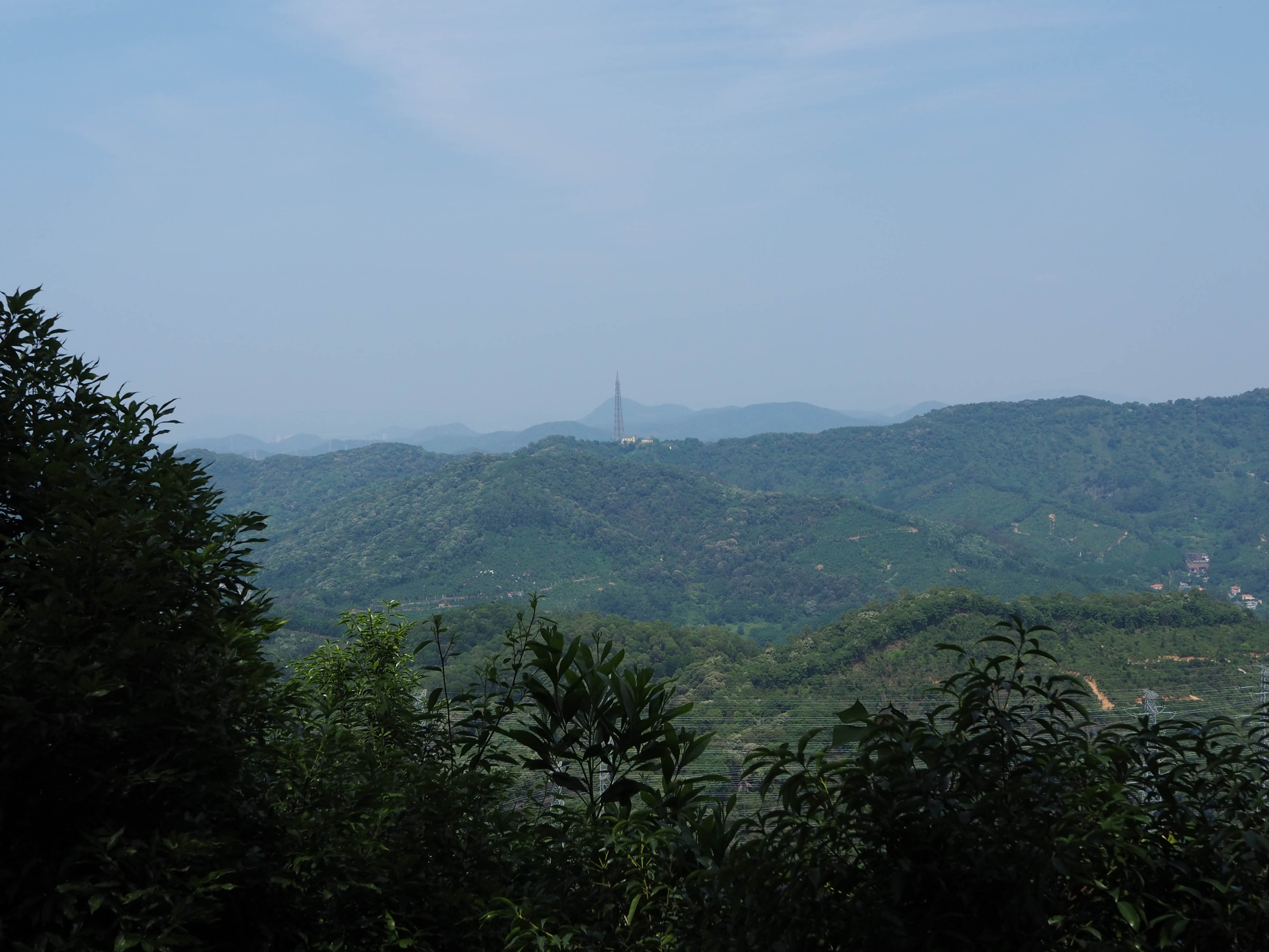 松下25mmF1.7样张赏析，看看画质、锐度如何？