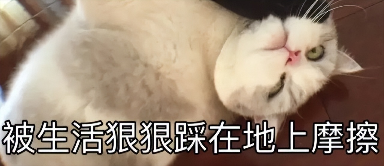 回本前和回本后撤资,回本前回本后合作方案