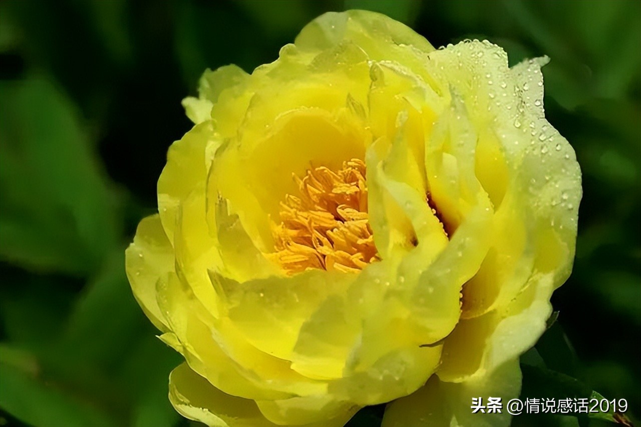 渐行渐远等心散了一切便是安好,渐行渐远人生常态各自安好