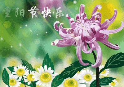 重阳天气特点,重阳节阴天今冬天气如何