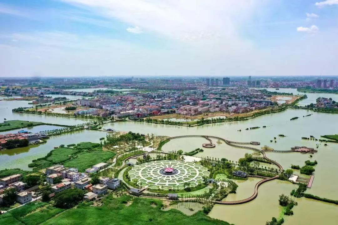 淮阳荷花节游龙湖赏荷花,大美淮阳荷花初绽游人如织