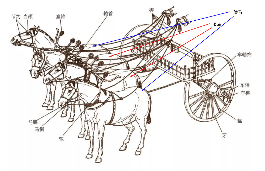 说文解字194课视频,说文解字部首540讲解