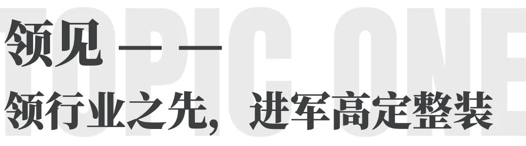太原南洋迪克高定整装家居,南洋迪克的高定