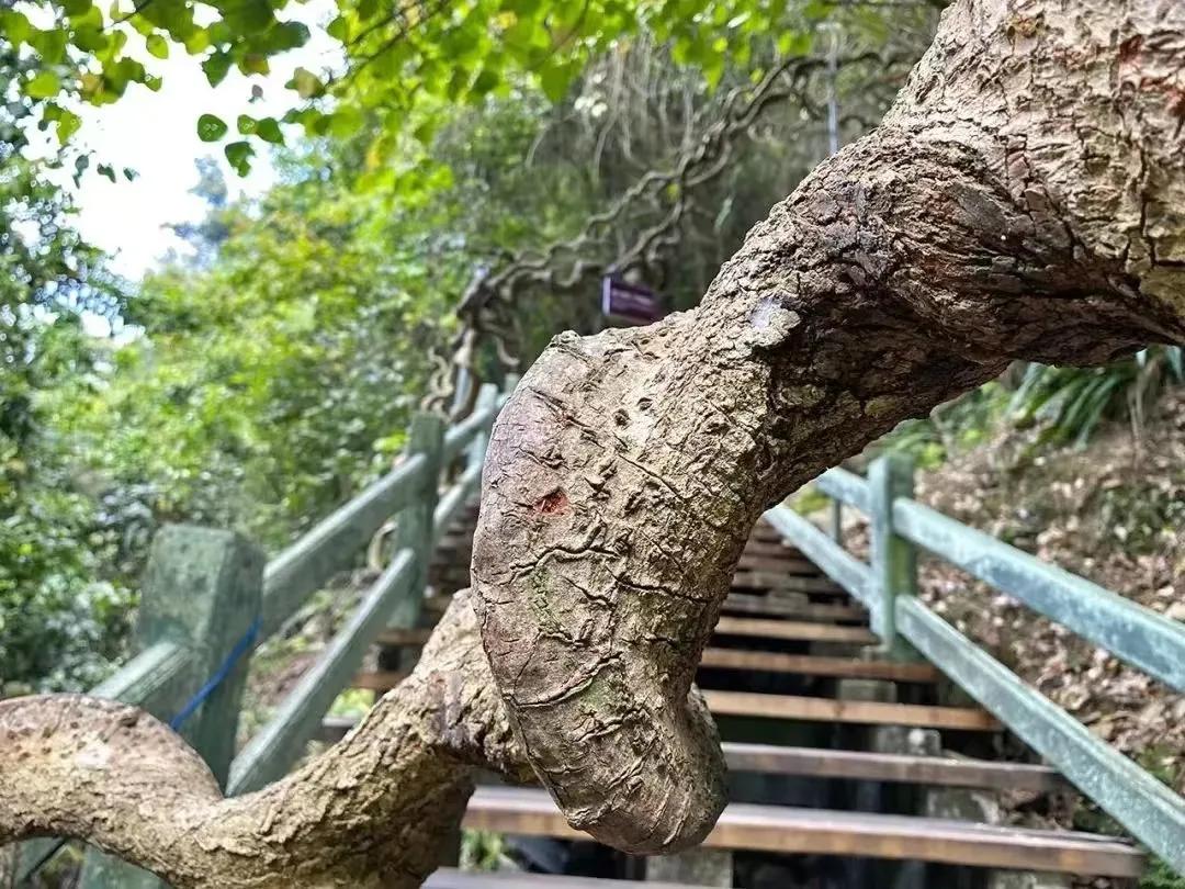 四会奇石河景区的银龙大瀑布,肇庆出发2-3天短途旅游推荐