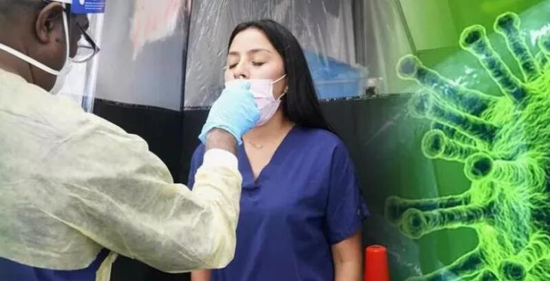 新马2020年费用,新马来回应该准备多少钱