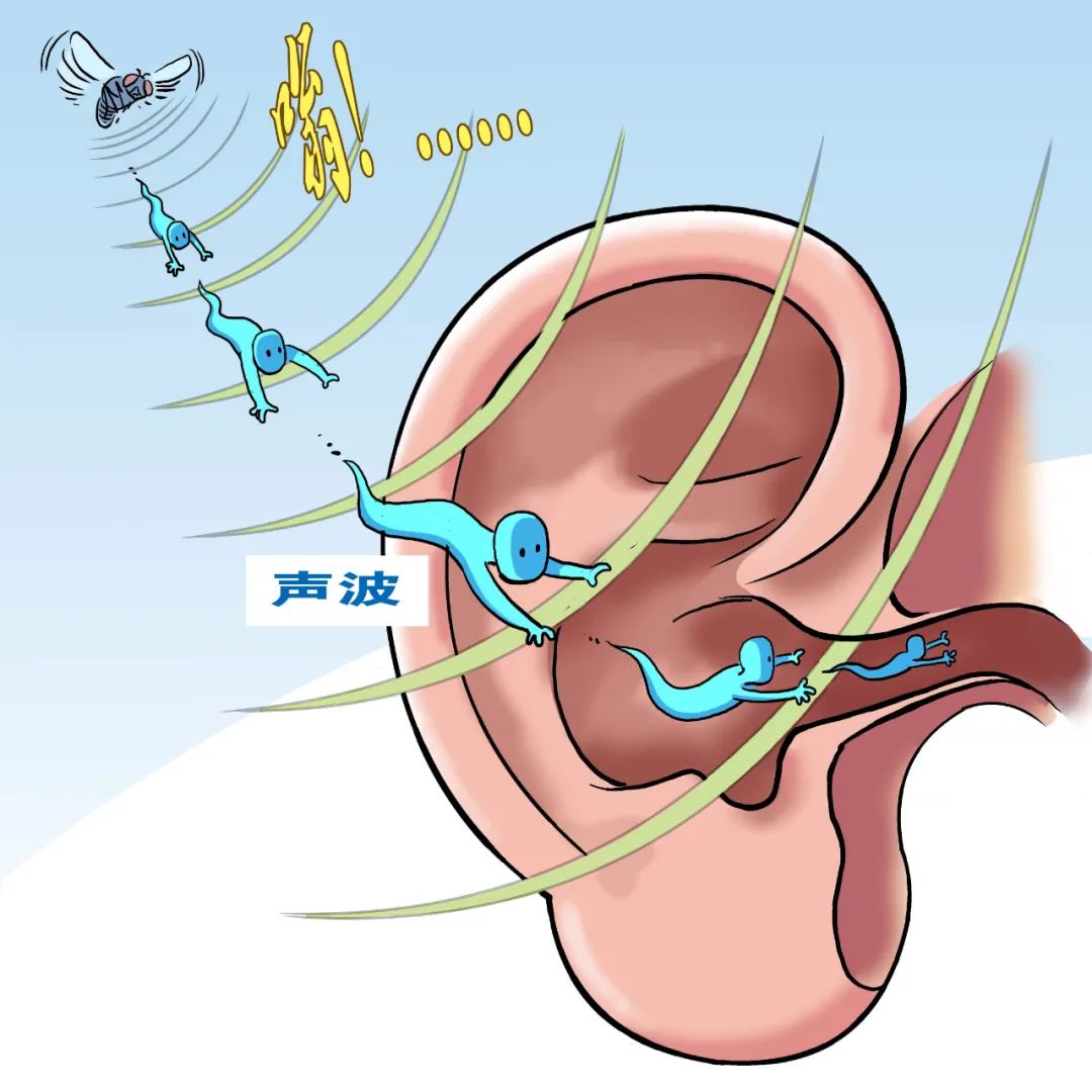漫绘怎么学,手绘漫画耳朵教程