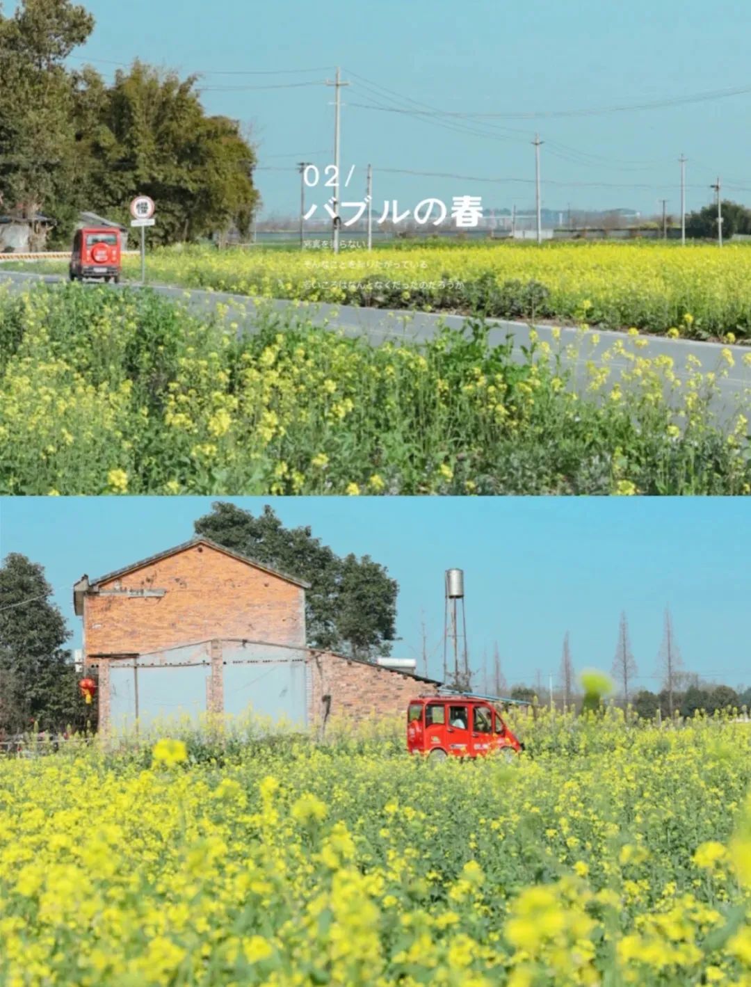 1.5h刹拢！被誉为川版“花城”，这个宝藏好耍地美得不像话