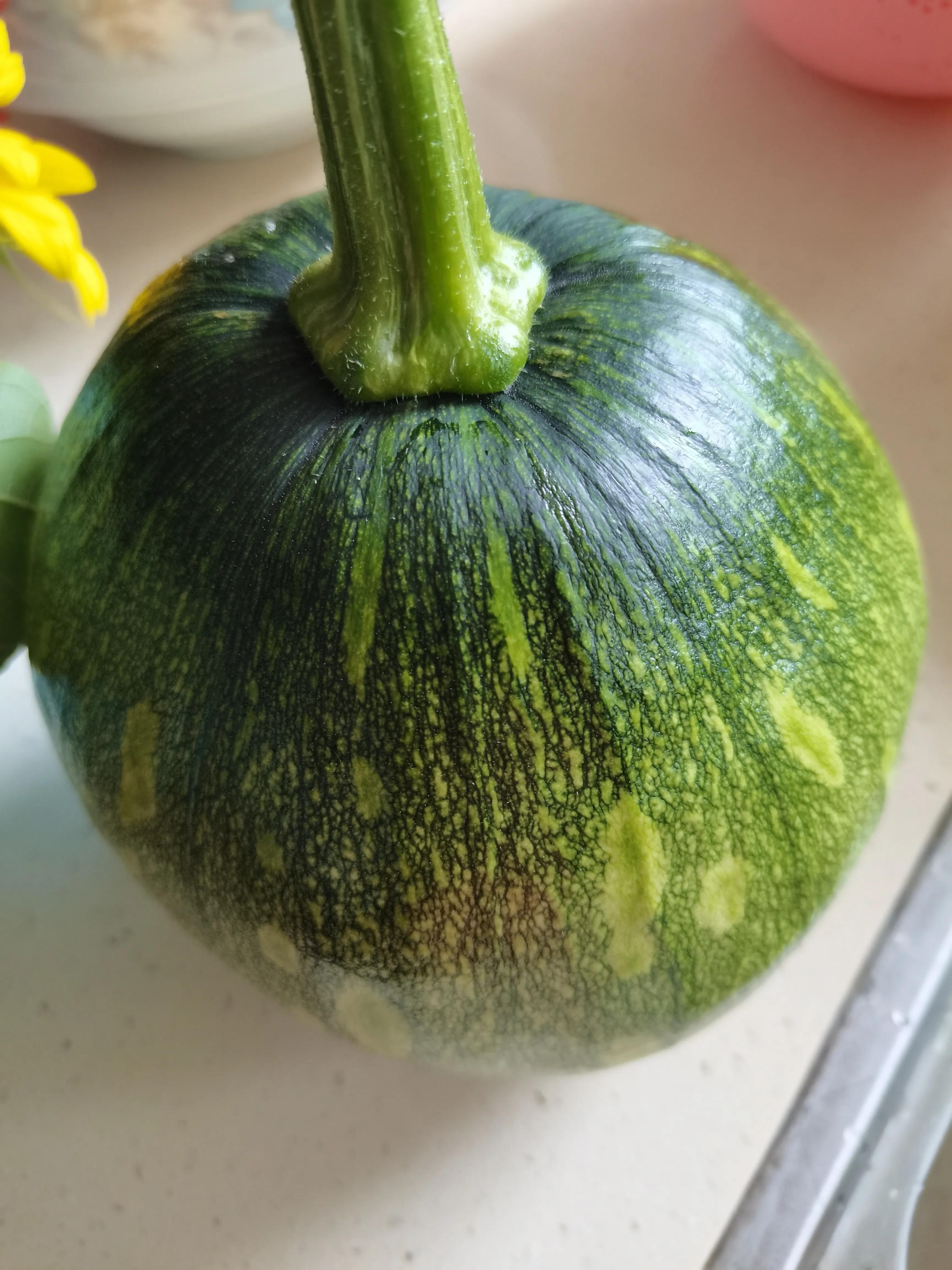 花园里的一年四季,春天花园里美丽景色