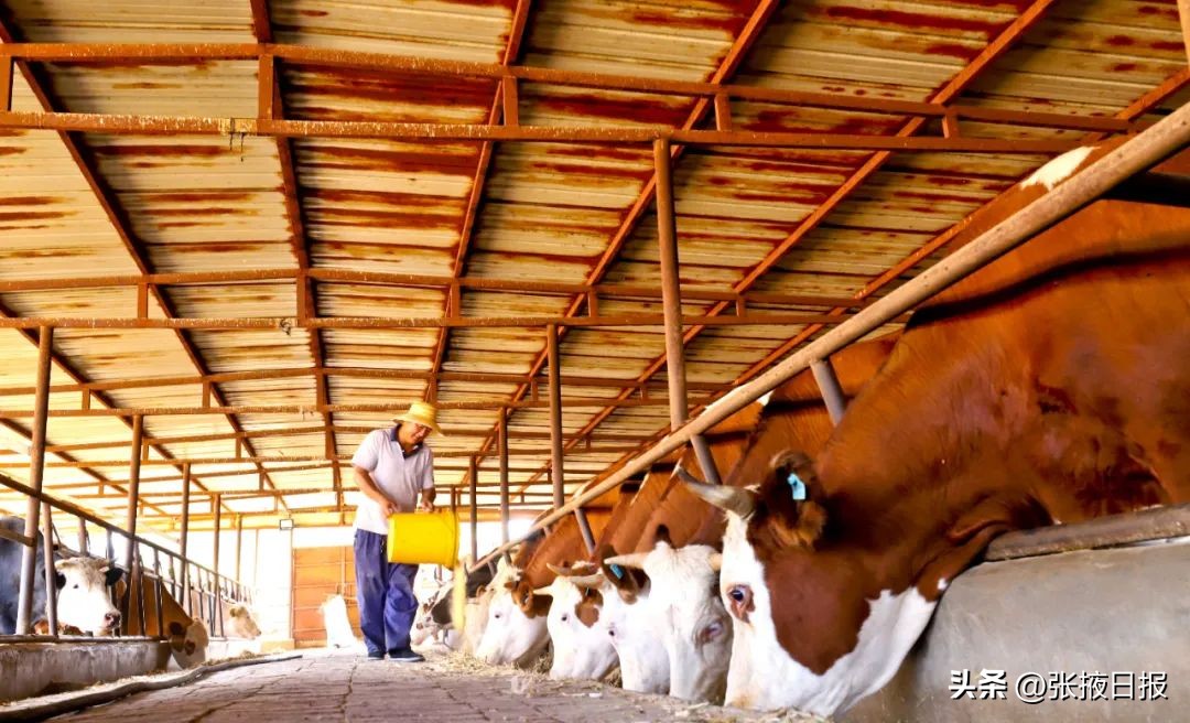 閲戠墰璐峰姪鍏绘畺鎴峰疄鐜拌嚧瀵屾ⅵ,楂樺彴鍘块粦娉夐晣鑴辫传
